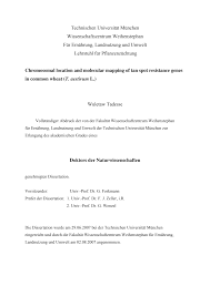 4.9 out of 5 stars 61. 2