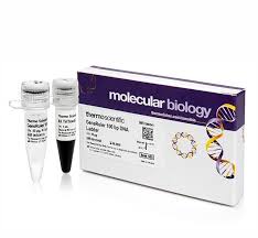 We did not find results for: Generuler 100 Bp Dna Ladder