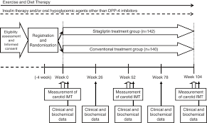 flow chart of the study schedule imt intima media