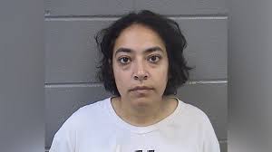 Professor charged with felony battery after ICE facility riots in Illinois 