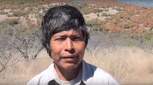 Luis Guerra : The Return of the Sacred Deer