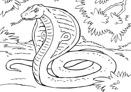 Ausmalbilder tiere zum ausdrucken pdf ausmalbild kostenlos für kinder, für erwachsene, für. Malvorlagen Kobra Schlange Coloring And Malvorlagan