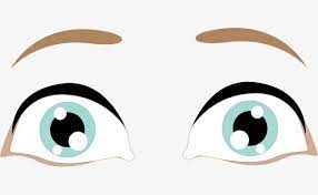 Beautiful Big Eyes Vector Big Eyes Cartoons Png Cartoon