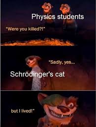 Well Yes But Actually No Pewdiepiesubmissions Schrodingers Cat Funny Memes Yes