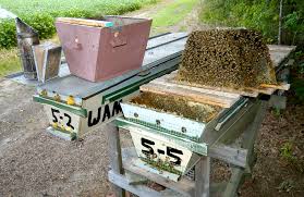 Complete plans, cut lists and materials can be found on my website. How To Open A Top Bar Hive 200 Top Bar Hives The Low Cost Sustainable Way