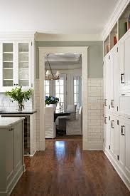 .kitchen cabinets ,rta kitchen cabinets ,kitchen cabinets prices ,colored kitchen cabinets ,painted kitchen doors ,kitchen cabinet finishes ,refinishing oak cabinets ,red cabinets ,wooden kitchen cupboards ,kitchen paint colors with honey oak cabinets ,best wood for kitchen cabinets ,painting. 7 Sage Green Kitchen Ideas Green Kitchen Sage Green Kitchen Kitchen Design