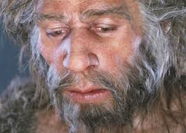 Neandertalci jeli poluprobavljene sastojke koje bi pronašli u utrobama  životinja