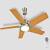 Design Orient Ceiling Fan
