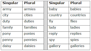 Course English Class 5 Topic Singular And Plural Noun