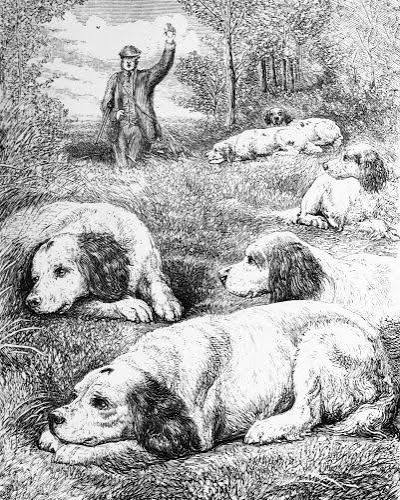 The Project Gutenberg eBook of Dog Breaking, by Major-General W. N. Hutchinson.
