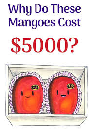 Diligently produced in the warm climate, the tropical fruit is packed with. Miyazaki Mangoes The Most Expenisve Mangoes In The World Miyazaki Mangoes Southern Islands