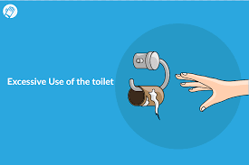 Can you flush toilet paper in septic tank. Toilet Paper Flush Toilet Septic Tank Toilet Paper Blue Text Hand Png Pngwing