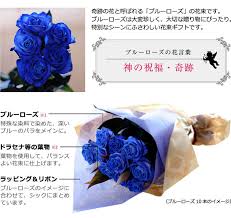 青い バラ 値段