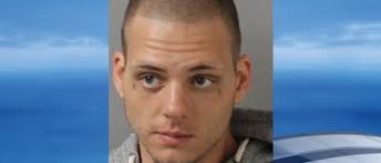 Carjacker steals mom's vehicle, pushes son in Goodlettsville: police