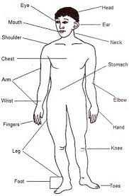 Actually, we have been noticed that car exterior body parts diagram is being just about the most popular subject at this time. Jee Main Jee Advanced Cbse Neet Iit Free Study Packages Test Papers Counselling Ask Experts Studyadda Com