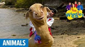 On this page you'll find a list of amazing animals beginning with v, together with pictures and it is a member of the camel family camelidae, and related to the llama. The Wiggles Zamel The Camel Has Five Humps Kids Songs Youtube