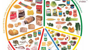 Vegetables, fruits, grains, protein foods, dairy products, and oils. Ah Mrc Of Nsw On Twitter Healthy Eating Is Important To Help You And Your Family Feel Their Best Right Now And In The Long Term Check Out The Eat For Health Poster