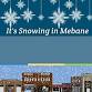 It's Snowing in Mebane - Photo Opportunity event image