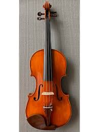 Image result for Viola eminii