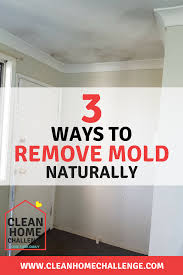 How To Remove Mould Naturally Mold Remover Cleaning Hacks Spring Cleaning Checklist Bedroom