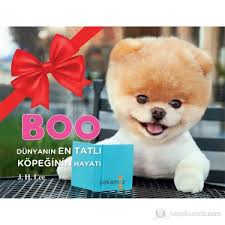 Boo Dunyanin En Tatli Kopeginin Hayati J H Lee Kitabi