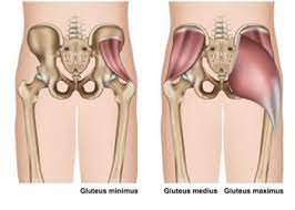 The benefits of leg raise exercises. Side Lying Leg Lifts And Raises Exercise 3 Variations And Benefits