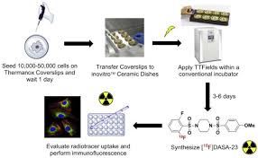 Maybe you would like to learn more about one of these? Tumor Treating Fields Ttfields Impairs Aberrant Glycolysis In Glioblastoma As Evaluated By 18f Dasa 23 A Non Invasive Probe Of Pyruvate Kinase M2 Pkm2 Expression Sciencedirect