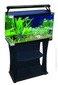 Horizon 65 Glass Starter Kit W Stand 65l 60x36x30cm Petbarn Starter Kit Starter Shelf Design