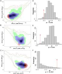 Image result for Christella chaseana