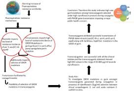 Conjugal Transfer Of Pmqr From Uropathogenic E Coli Under High Ciprofloxacin Selection Pressure Generates Gyra Mutation Sciencedirect