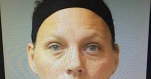 Dansville Police charge woman with dealing drugs