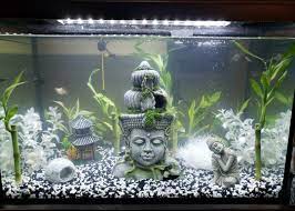 Fish Tank Fish Tank Themes Fish Tank Tank Ideas