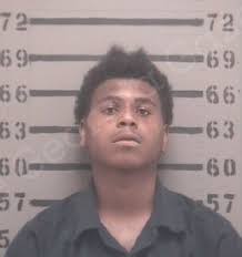 Worth County.** **Austin, Amori** B/M/19. Home invasion (F). Possession of  firearm during commission of certain crimes (F). Theft by receiving (F).  12/20/2024 12:05
