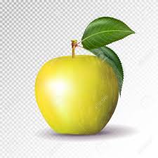 We did not find results for: Yellow Apple Isolated On Transparent Background Vector 3d Royalty Free Cliparts Vectors And Stock Illustration Image 87624284