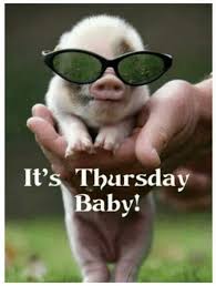 Lovethispic is a place for people to share happy thursday images pictures, images, and many other types of photos. 101 Funny Thursday Memes That Work Day And Night To Make You Happy