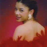 The Vegas Heat Series by Erika Wilde