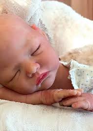 Reborn Dolls and Lifelike Baby Dolls