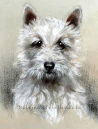 Details About West Highland White Terrier Portrait Dogs Diy Counted Cross Stitch Pattern