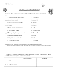 What goes into one process is what comes out of the other. 33 Photosynthesis And Cellular Respiration Worksheet Worksheet Resource Plans