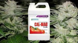 How To Use Cal Mag Plus With Marijuana Plants Happy Pot Farmer