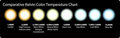 Kelvin Color Chart Light Bulbs Msassociates Info