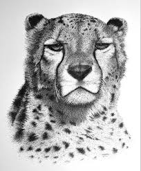 Black And White Cheetah Drawing Cheetah Black Ink Art Dotted Drawings Ink Pen Drawings