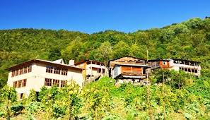 Artvin'e gidildiğinde mutlaka yenmesi gereken yöresel lezzetler de bulunmaktadır. Artvin Yayla Evleri Artvin Yayla Otelleri Konaklama Yeri