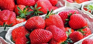 China (x tonnes) remains the largest strawberry producing country worldwide, comprising approx. Usda Hydroponic Tabletop Strawberry Concept To Promote Category Growth