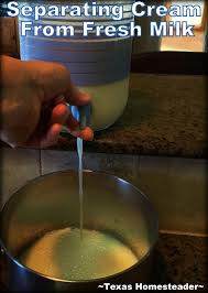 easily separating cream from fresh milk