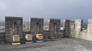Vidéo de la fabrication d'une ruche dadant 10 cadres. Des Abeilles Ont Elu Domicile Au Sommet D Une Des Tours Du Palais Des Papes A Avignon