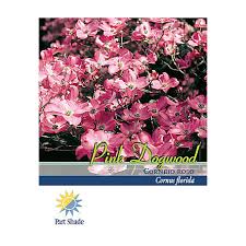 Dogwood trees (cornus spp.) are one of the quintessential flowering trees of spring. Pirtle Nursery Pink Dogwood Tree 3 2 929 Gal 1756 At Tractor Supply Co