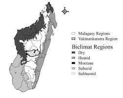 Image result for Scleria lateritica