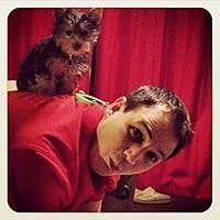 The Fathers Know Best: Your Essential Guide to the Teachings of the Early  Church by Jimmy Akin