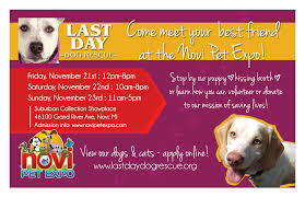You will also be given the opportunity to browse the 120+ vendors for pet related products and services or sit and enjoy one. Come See Us At The Novi Pet Expo Saving Lives Rescue Dogs Event